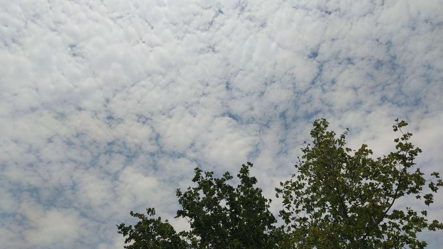 天空晴朗#救在身边
