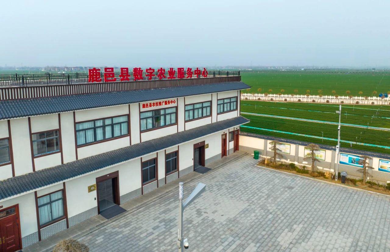 鹿邑县穆店乡高标准良田示范区