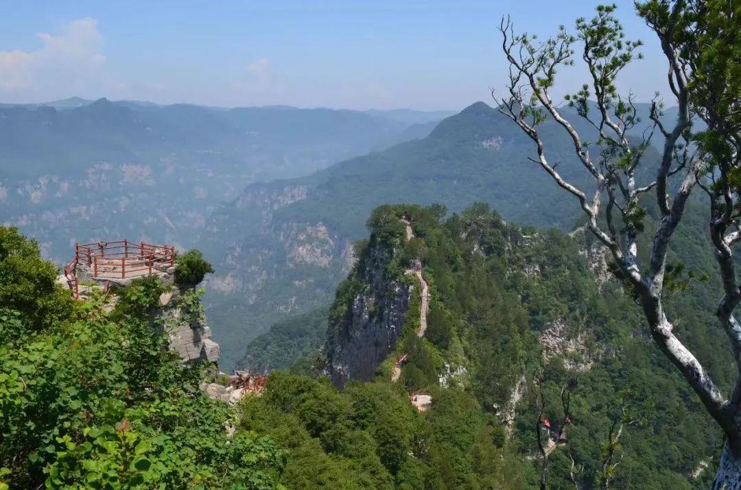 这样的观景台,神农山独有!-大象网
